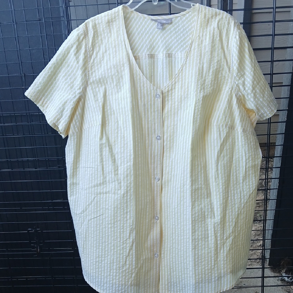 Woman Within Yellow and White Striped Top